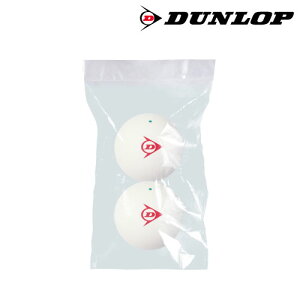 _bv \tgejX{[ F 1 (2) [ DUNLOP DSTB2TIN \tgejX  ]