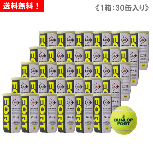 テニスボール ダンロップ フォート 30缶の人気商品・通販・価格比較 