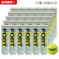 ダンロップ フォート キャンペーン 1箱 10ダース (1缶4球入/30缶/120球) [ DUNLOP FORT CAMPAIGN 硬式テ…