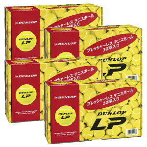 _bv _bv LP 4Zbg 10_[Xi130/4/120j( DUNLOP LP DLPCS120 ) mvbV[ dejX{[