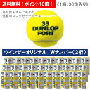 【ウインザーオリジナル】ダンロップ [DUNLOP] フォート1箱（1缶2球入/30缶/60球※5ダース）テニスボール