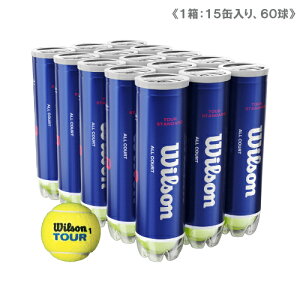 �E�C���\�� �c�A�[�E�X�^���_�[�h 1�� 5�_�[�X (1��4����/15��/60��) [ Wilson TOUR STANDARD �d���e�j�X�{�[�� ] ���K��