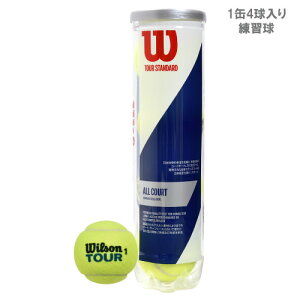 EC\ cA[EX^_[h 1(4) [ Wilson TOUR STANDARD dejX{[ ] K
