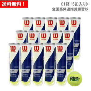 EC\ cA[EX^_[h 1 5_[X (14/15/60) [ Wilson TOUR STANDARD dejX{[ ] K