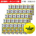 ダンロップ [DUNLOP] フォート 1箱（1缶2球入/30缶/60球※5ダース）テニスボール