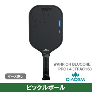 ysbN{[z_CAf EH[A[u[RA v 14 (DIADEM WARRIOR BLUCORE PRO14 TPA016) ph 25FW