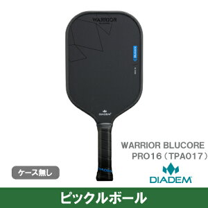 ysbN{[z_CAf EH[A[u[RA v 16 (DIADEM WARRIOR BLUCORE PRO16 TPA017) ph 25FW