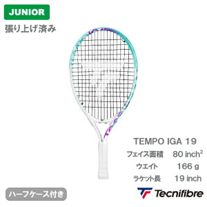 yグς݁z eNjt@Co[ TEMPO IGA 19 (tecnifibre TEMPO IGA 19 14TEMP194E) WjA dejXPbg 24FW