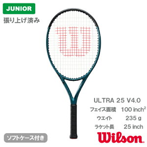yグς݁zEC\ Eg 25 V4.0iwilson ULTRA 26 WR116610SjWjA dejXPbg