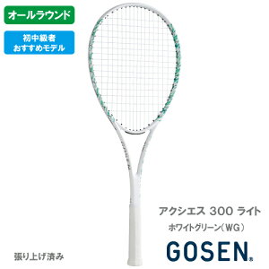 �y����オ��z�S�[�Z�� �A�N�V�G�X 300 ���C�g �z���C�g�O���[���iGOSEN AXTHIES 300 LITE SRA3L-WG�j�\�t�g�e�j�X���P�b�g �I�[�����E���h 26SS��
