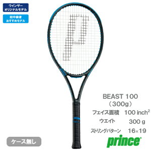 �v�����X �r�[�X�g 100 300g �`���R�[���O���[�iprince BEAST 100 7TJ266 159�j�d���e�j�X���P�b�g 26SS (�E�C���U�[�I���W�i�����f��)