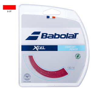 o{ GNZ bh 12M (Babolat XCEL 12M 241110) iC(}`) XgO