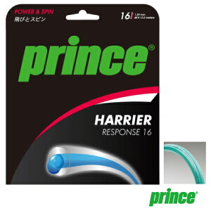 vX nA[ X|X 16 Gh (7JJ021 103) [ Prince |GXe XgO ]