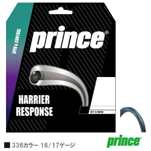 vX nA[ X|X 16/17 NAO[ (7JJ021/7JJ032 336) [ Prince |GXe XgO ]