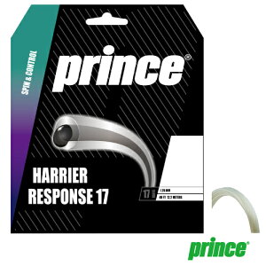 vX nA[ X|X 17 NAzCg (7JJ032 223) [ Prince |GXe XgO ]