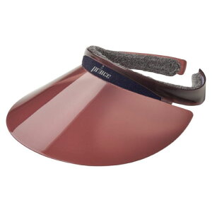 vX oCU[iPH509-049j[prince SUV ANZT[]