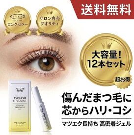 EYEZ アイラッシュリポゾーン N2 15g 12本セット まつ毛美容液 まつげ美容液 目元ケア 切れ毛 乾燥 ダメージ補修 ケラチン(ヒツジ)配合 水溶性ジェル コーティング トリートメント ハリ コシ ツヤ 束感(まとまり感) ブラシタイプ 上下まつ毛OK 日本製 ハマメリス マロニエ P