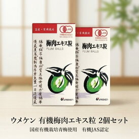 ウメケン 有機梅肉エキス粒 90g 約600粒 2個セット 国産 有機栽培 青梅 梅肉エキス 粒 梅エキス 有機JAS 食べやすい 丸粒 水 ぬるま湯 有機米粉使用 まとめ買い 常温2年 数量限定品 JAN4973839100134