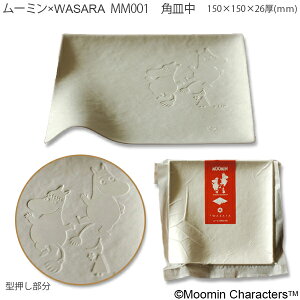 reinaiCij[~×WASARApMijMM001@6