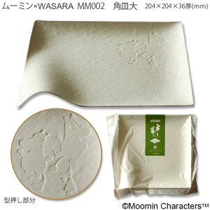 reinaiCij[~×WASARApMijMM002@4