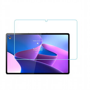 NEC LAVIE Tab T12 tB T1295/DAS tیtB PC-T1295DAS یtB 2022N 12.6C` t یtB  hw [