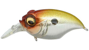 KoX (Megabass)New SR-X GRIFFON (OtH)M EGX^NE