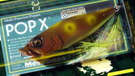 POPX SBF (下向きの目玉装着)