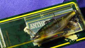 S 25th  and windyside SyCgANTHRAX GS R