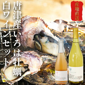 ÎY Yn kty y a kt C Zbg lC   2L 3L JL ͉y 2kg 3kg ꌧ CN BBQ o[xL[ CNo[xL[ Mp 