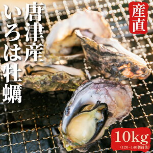 ÎY kty y a kt Ԍ̔ lC   10L 8L JL ͉y 8kg 10kg Yn ꌧ CN BBQ o[xL[ CNo[xL[ Mp 