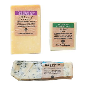 イタリア チーズ 詰め合わせ 3種セット お得 パルミジャーノレッジャーノ ペコリーノロマーノ ゴルゴンゾーラピカンテ