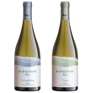 C^A yi C 2 ݔ Zbg h ݔ \GI  C^AZbg ƈ Jp[j