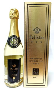 tFX^X@@750 hCcCXp[NOCaMtg j O[g ss