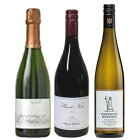 �ؿ��μ����о�ɥ��ĥ磻��3�ܥ��åȥ�åĥ���٥륬���������ȡ��֥��åȥ����顦������ա��ԥΥΥ��ե��������˥��ơ��ۥ��ԥƥ�����ԡ����ݡ�����������ȡ��ȥ�ץҥ��󡦥��ӥͥå�