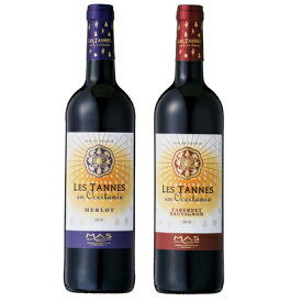 ポール・マスレ・タンヌ・オクシタン・メルロー・カベルネソーヴィニヨン2本セット フランスワイン 産地 ラングドック 赤ワイン 家飲み お誕生日 750mlジャン・クロード・マス