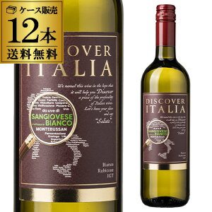 yP10{z1{1,400~(ō) fBXJo[ C^A TWF[[ rAR [2024] `FrR 750ml 12{C^A C P[X l^APAbvԁF11/20 20~11/27 10܂Ł@