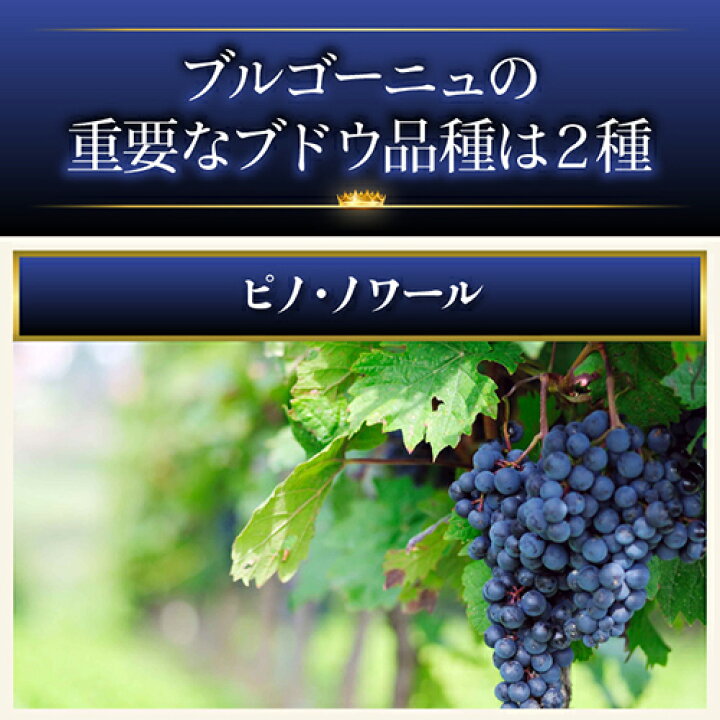 市場】【最大2,500円OFFクーポン使える】送料無料 渾身のブルゴーニュ赤4本セット第4弾赤ワイン ピノノワール 飲み比べセット ワインセット 長S : 銘醸ワイン専門 CAVE de L NAOTAKA 市場】【最大2,500円OFFクーポン使える】送料無料 渾身のブルゴーニュ赤4本セット第4弾赤ワイン ピノノワール 飲み比べセット ワインセット 長S : 銘醸ワイン専門 CAVE de L NAOTAKA