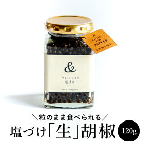 【お徳用サイズ】＆PEPPER 生胡椒 塩漬け 120g カンボジア産 純胡椒 生胡椒の塩漬け 生コショウ 卵かけご飯 粒のまま 塩 胡椒 ペッパー 新感覚 調味料 虎