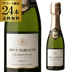 �yP10�{�z1�{������625�~(�ō�) �������� �u�����b�g �_���W���� �u�����h�u���� �~�j200ml×24�y24�{�Z�b�g�z �t�����X �� �h�� �A �X�p�[�N�����O���C�� Sparkling Wine ��S�M�t�g �M�t�gP�A�b�v����