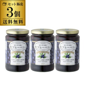 【今季新物が待望の入荷】送料無料 オレゴン州の生ブルーベリー シロップ漬け 3個 低糖度 甘くない アメリカ産 オレゴン ブルーベリー コンポート デルタ 虎S