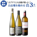 【1本あたり3,960円(税込)】送料無料白品種を極める 三大品種 白ワイン 3本セット 750ml 3本入リースリング シャブリ ソーヴィニヨンブラン ワインセット 浜運A