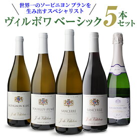 1本あたり2,998円(税込)送料無料 ヴィルボワ ベーシック 5本セット第3弾フランス ロワール ワインセット 白ワイン 赤ワイン 飲み比べ 浜運 A