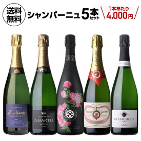 【4,000円/本】 送料無料あのエンクリが入ったNAOTAKA厳選シャンパーニュ5本セット 9弾 750ml 5本入フランス シャンパン 辛口 ワインセット 浜運A