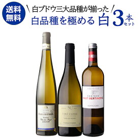 【500円OFFクーポン利用で1本あたり3,794円(税込) 送料無料】白品種を極める 三大品種 白ワイン 3本セット 750ml 3本入リースリング シャブリ ソーヴィニヨンブラン ワインセット 浜運A