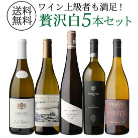 【2,000円OFFクーポン利用で3,200円/本 送料無料】自信を持っておすすめするワイン上級者も満足！白ワイン5本セット 11弾白 ワインセット 飲み比べ 浜運 ギフト