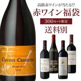 【送料別】高級ワインを探せ！ 赤ワイン福袋 第72弾！シャルム シャンベルタン 2022 ルー デュモンが入ってるかも!?【先着300セット】ボルドー ブルゴーニュ ドイツ イタリア赤ワイン リカーマウンテン WK くじ 福袋 浜運予約2026/1/14以降発送予定
