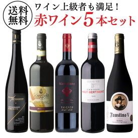 【1本あたり3,960円 送料無料】 自信を持っておすすめする ワイン上級者も満足！赤ワイン5本セット 第8弾 赤 ワインセット 飲み比べ 浜運A ギフト