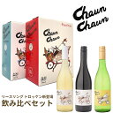 【新商品お試しクーポン配布中！】フランス ワイン チャウンチャウン【送料無料】 赤ワイン ピノ・ノワール ピノノワール 白ワイン シャルドネ 750ml 3000ml 3L 3リットル ワインセット 赤白 赤 白 箱ワイン 大容量 家庭用 紙パック ギフト プレゼント 箱