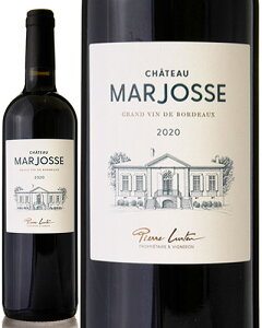 Vg[ }WX [ 2020 ] ( ԃC ) [S]