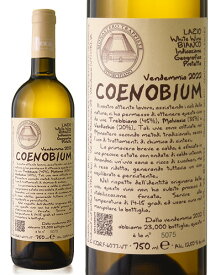 コエノビウム [ 2022 ]モナステーロ ディ ヴィトルキアーノ ( 白ワイン )